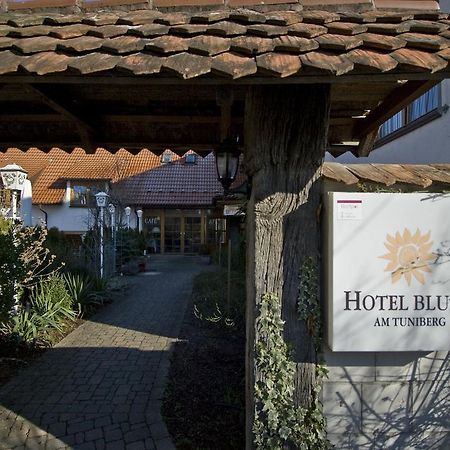 Hotel Blume Fribourg im Breisgau Extérieur photo