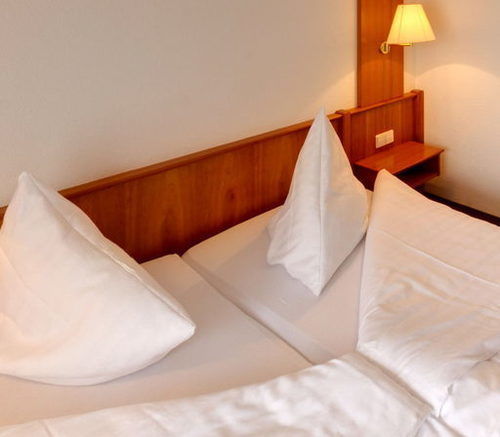 Hotel Blume Fribourg im Breisgau Extérieur photo